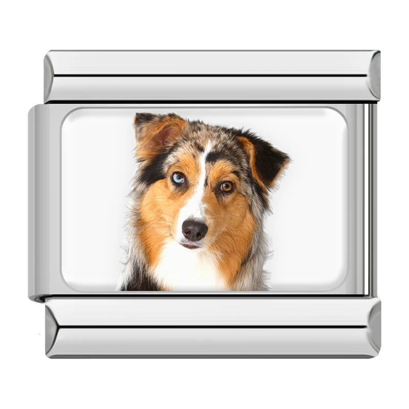 Australian Shepherd / Aussie Dog Charm