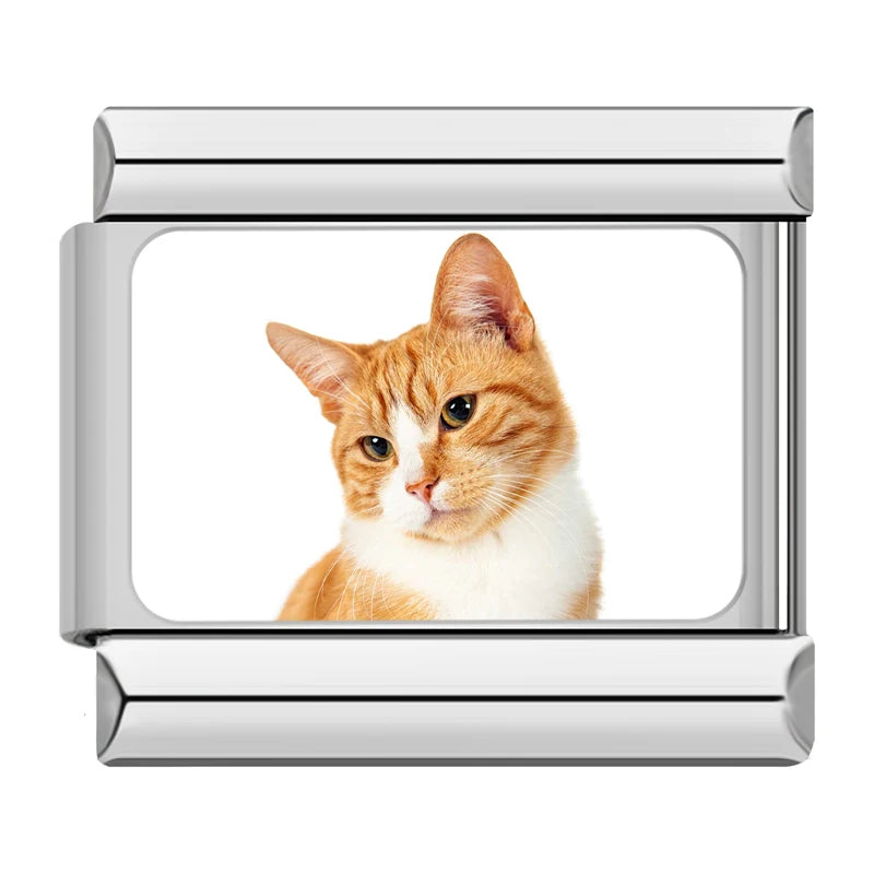 Orange and White Tabby Cat (Head Tilt) Charm