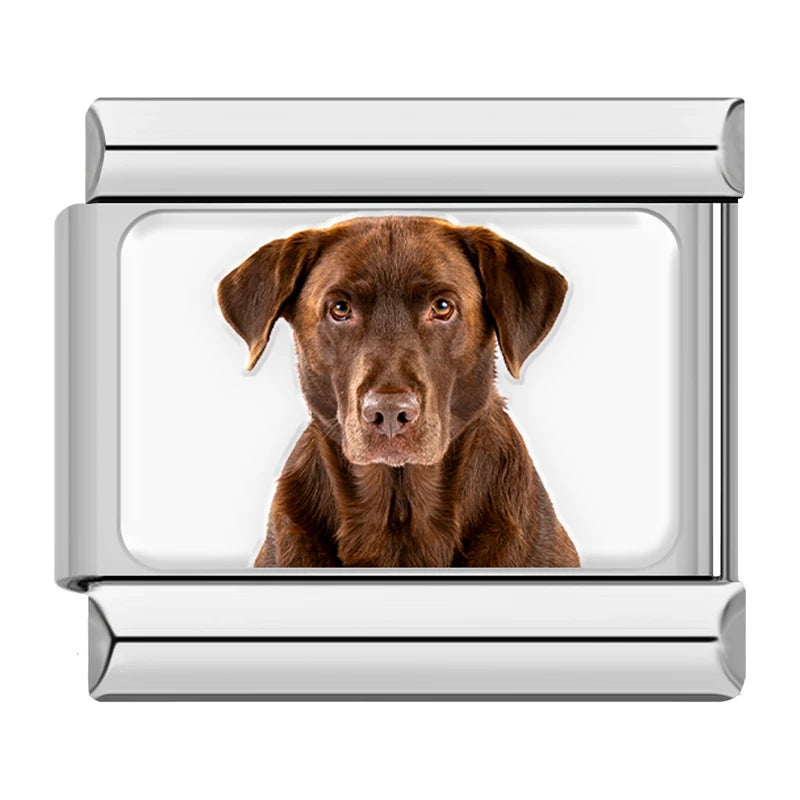 Chocolate Labrador Dog Charm