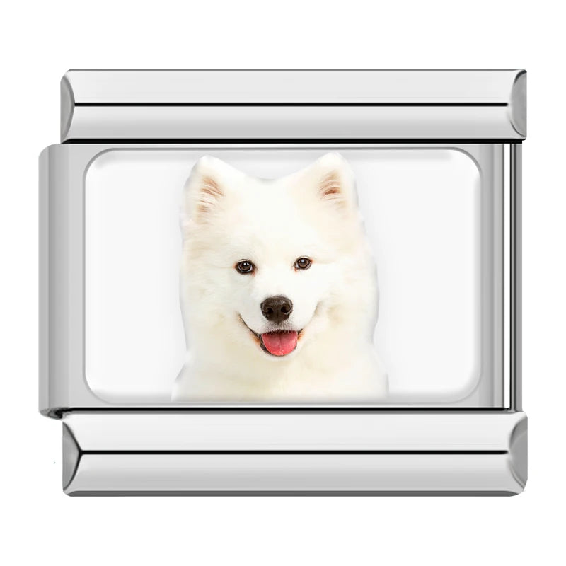 Samoyed Dog Charm