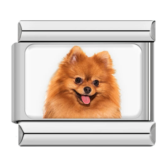 Pomeranian Dog Charm