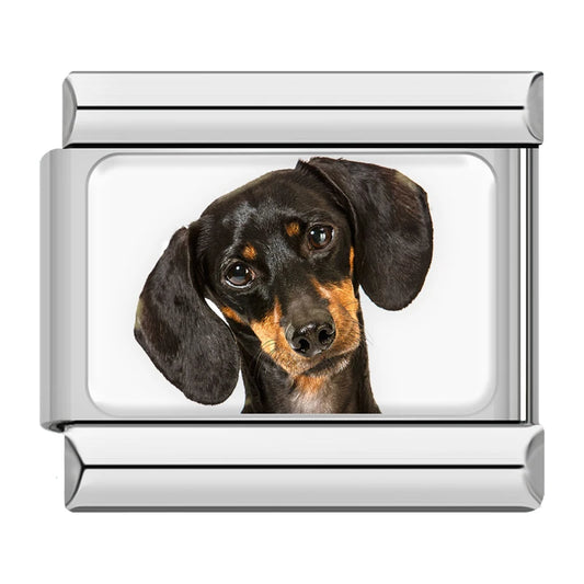Dachshund Dog Charm