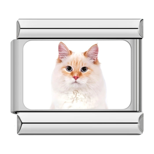 Flame Point Siamese Cat Charm