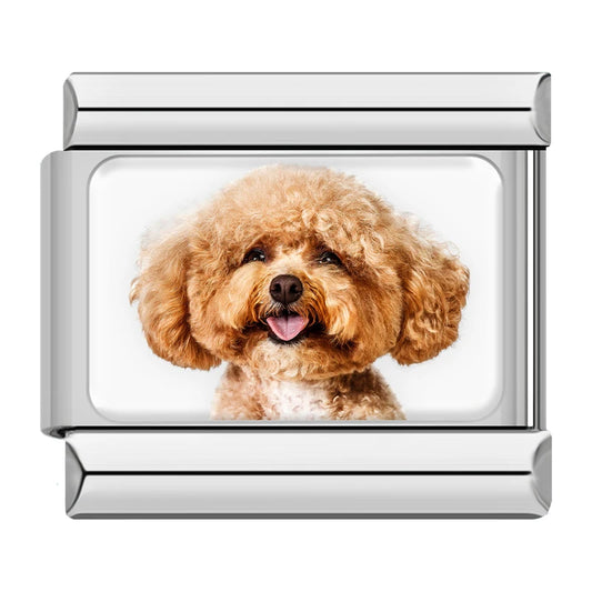 Goldendoodle / Poodle Dog Charm