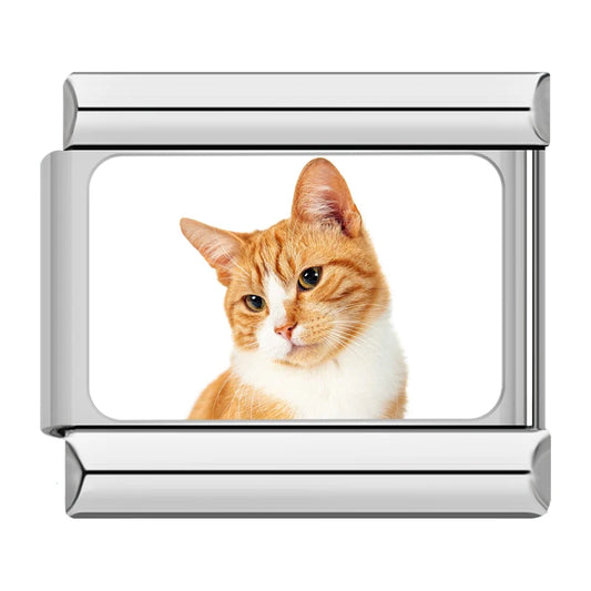 Orange and White Tabby Cat (Head Tilt) Charm