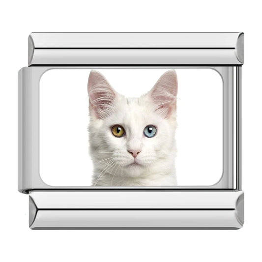 Khao Manee / Turkish Angora White Cat Charm