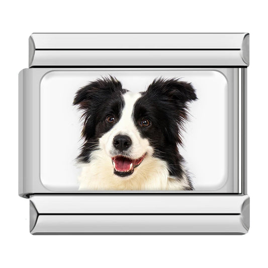 Border Collie Dog Charm
