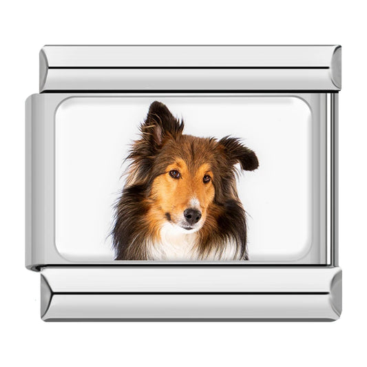 Shetland Sheepdog / Collie Dog Charm