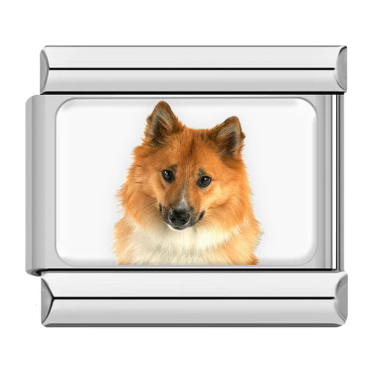 Finnish Spitz Dog Charm