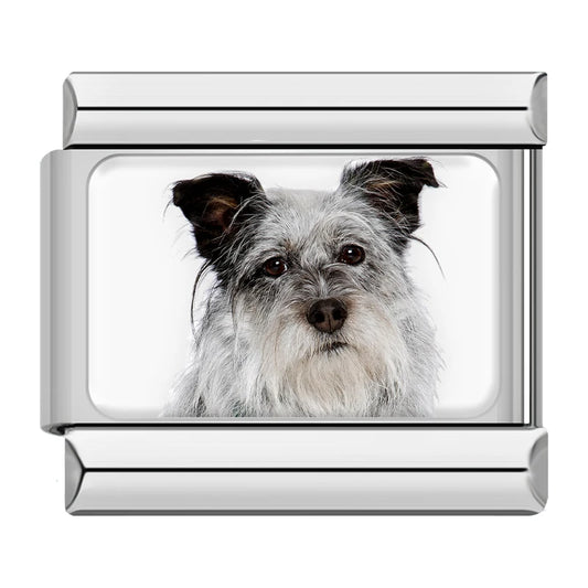 Schnauzer Dog Charm