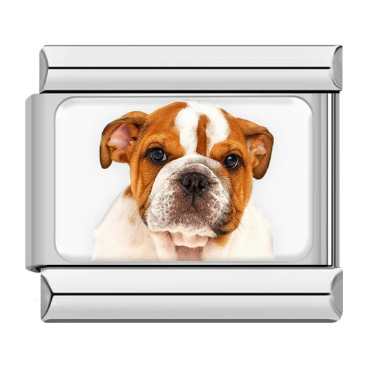 English Bulldog Dog Charm