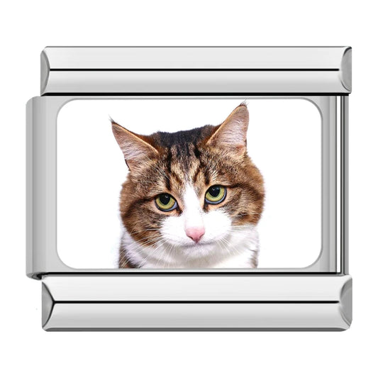 Tabby & White Cat Charm