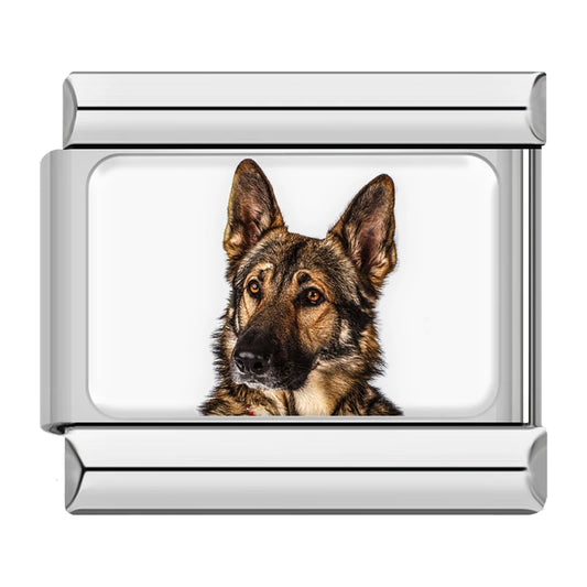 German Shepherd Dog Charm