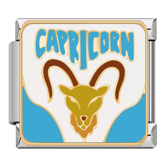 Capricorn Zodiac Charm
