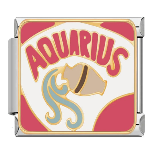 Aquarius Zodiac Charm