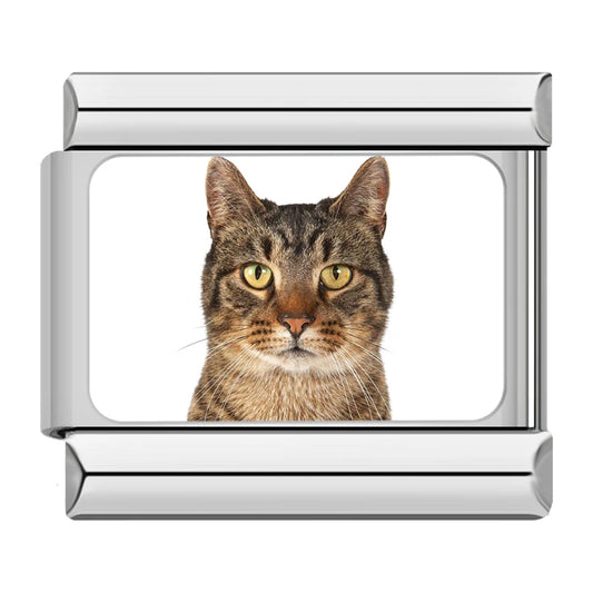 Brown Tabby Cat Charm