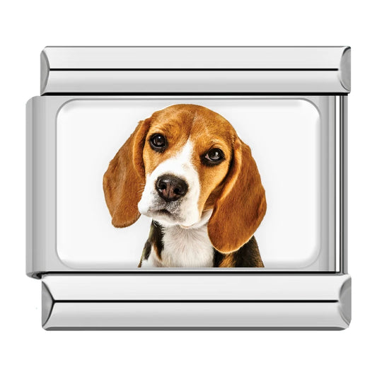 Beagle Dog Charm