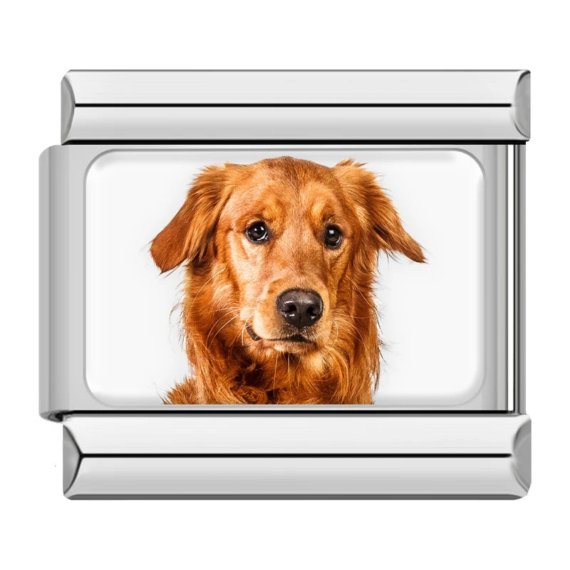Golden Retriever Dog Charm