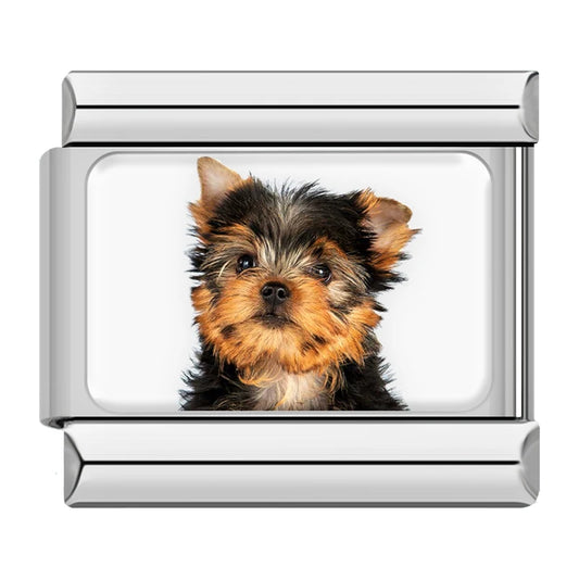 Yorkshire Terrier (Yorkie) Dog Charm