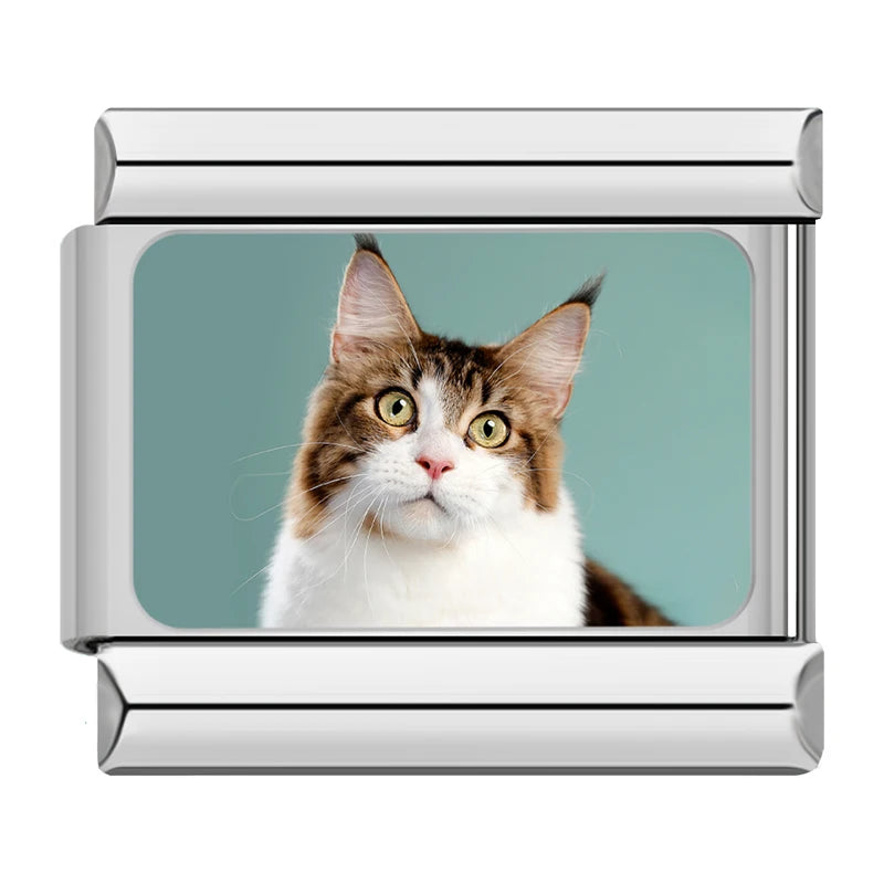 Maine Coon Tabby Cat Charm