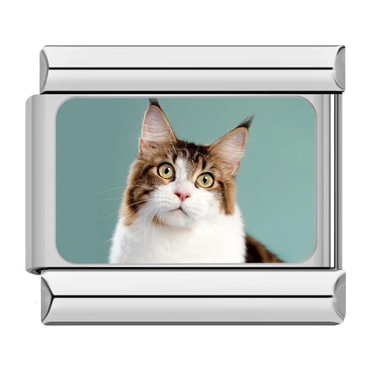 Maine Coon Tabby Cat Charm