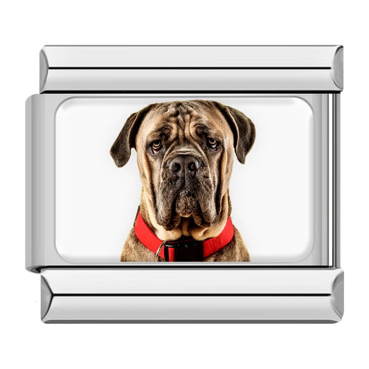 Cane Corso / Mastiff Dog Charm