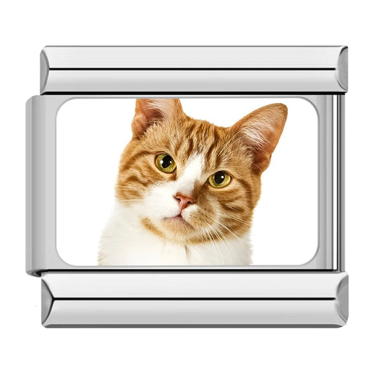 Orange and White Tabby Cat Charm