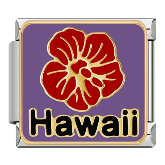 Hawaii Charm
