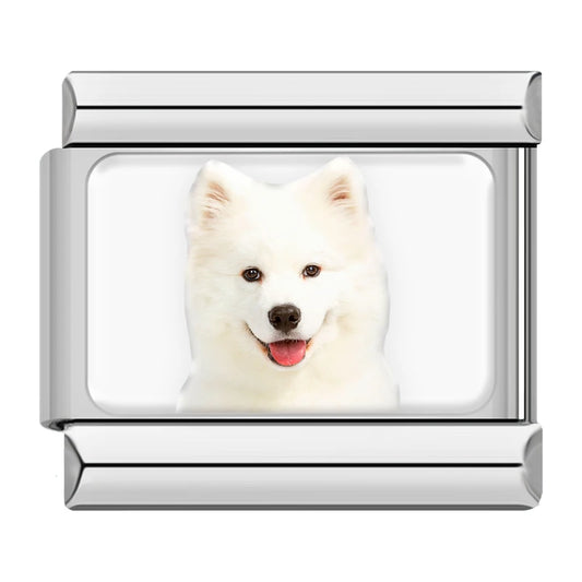 Samoyed Dog Charm