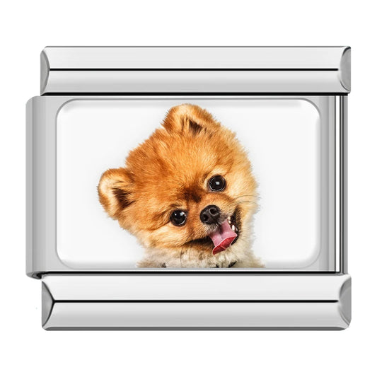 Happy Pomeranian Dog Charm