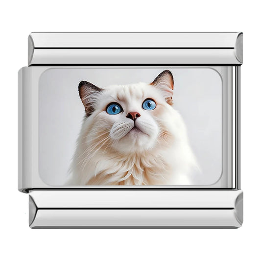 Blue Eyed White Ragdoll Cat Charm