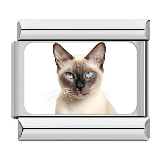 Siamese Cat Charm